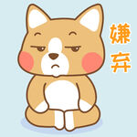 柯基小布 
