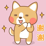 柯基小布