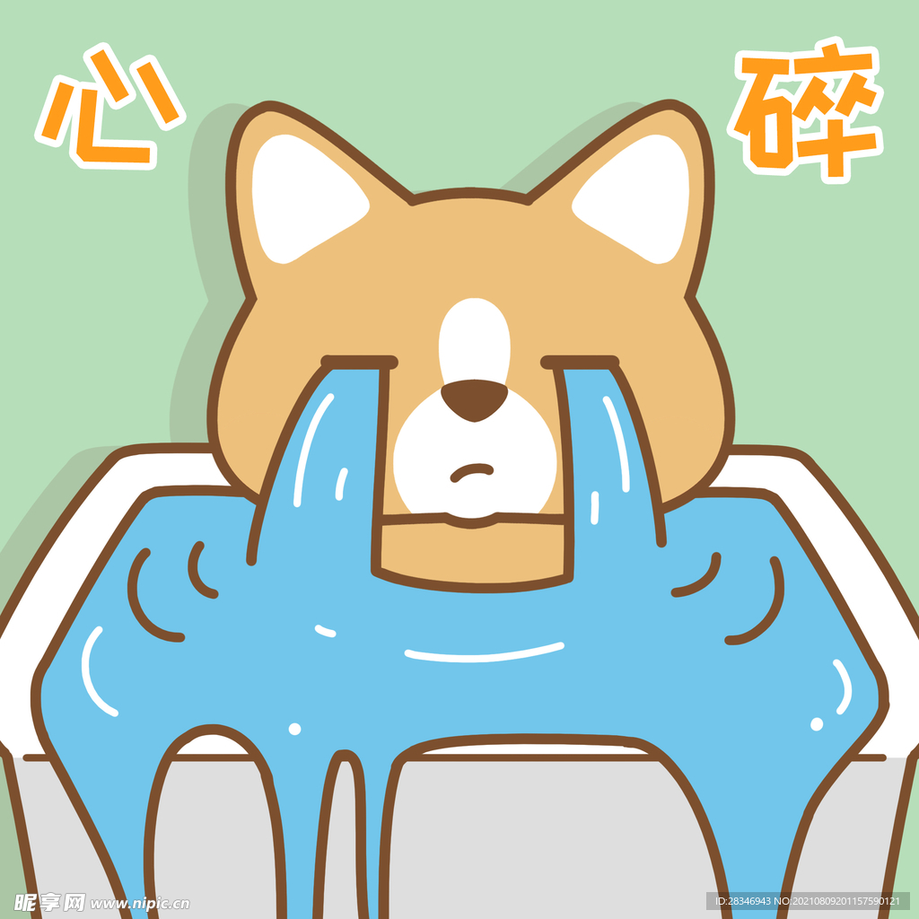 柯基小布 