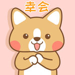柯基小布