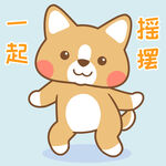 柯基小布