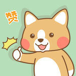柯基小布 