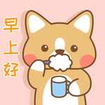 柯基小布