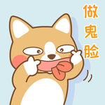 柯基小布
