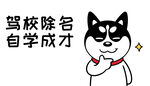 哈士奇车贴          