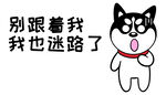哈士奇车贴          