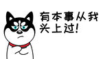 哈士奇车贴          