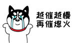 哈士奇车贴          