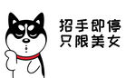 哈士奇车贴          