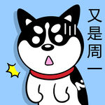 哈士奇工作          
