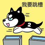 哈士奇工作          