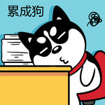 哈士奇工作          