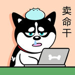 哈士奇工作          