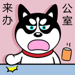 哈士奇工作          