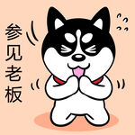 哈士奇工作          