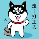 哈士奇工作          