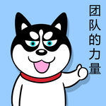 哈士奇工作          