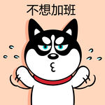 哈士奇工作          