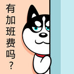 哈士奇工作          