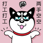 哈士奇工作          