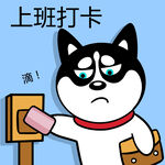 哈士奇工作          