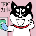 哈士奇工作          