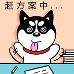 哈士奇工作          