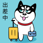哈士奇工作          