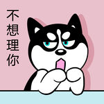 哈士奇工作          