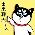 哈士奇工作          