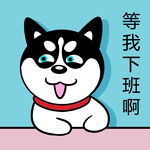 哈士奇工作          