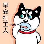 哈士奇工作          