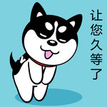 哈士奇工作          