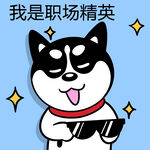 哈士奇工作          