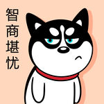 哈士奇工作          