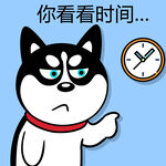 哈士奇工作          