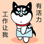 哈士奇工作          