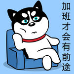 哈士奇工作          
