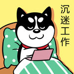 哈士奇工作          