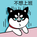 哈士奇工作          
