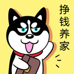 哈士奇工作          