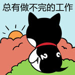 哈士奇工作          