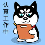 哈士奇工作          