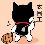 哈士奇工作          