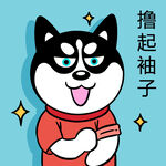 哈士奇工作          