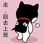 哈士奇工作          
