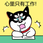 哈士奇工作          