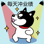哈士奇工作          