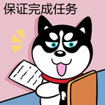 哈士奇工作          