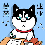 哈士奇工作          